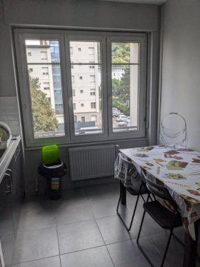 Chambre confortable au calme et proche du centre-ville de Lyon